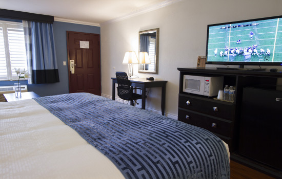 Regency Inn - Guest Room